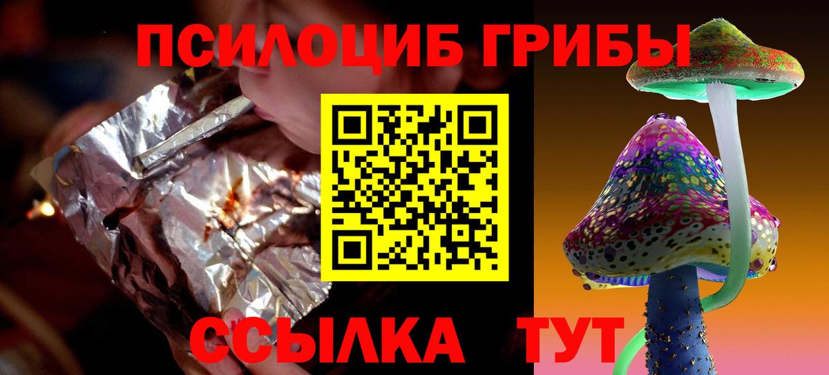 Карабулак  Псилоцибиновые грибы Psilocybe  Вход с VPN 