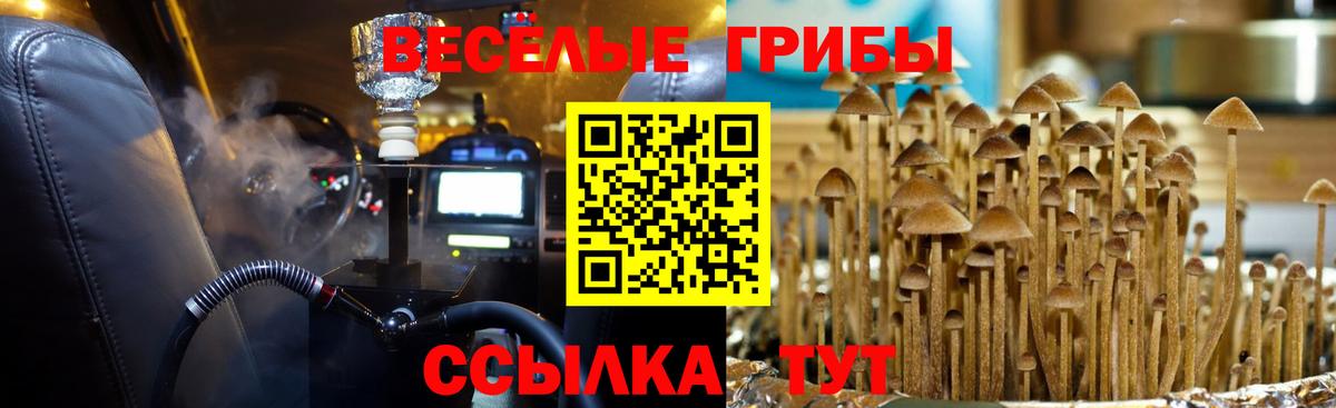 Галлюциногенные грибы мицелий Карабулак